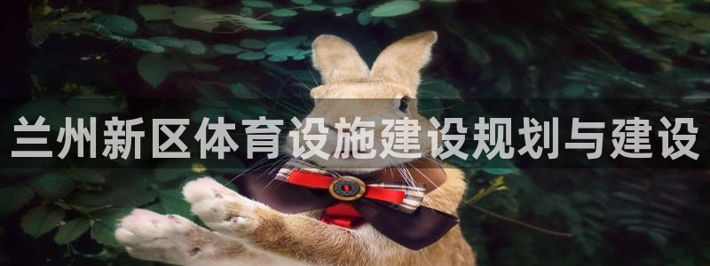 意昂体育4平台假的吗是真的吗吗：兰州新区体育设施建设