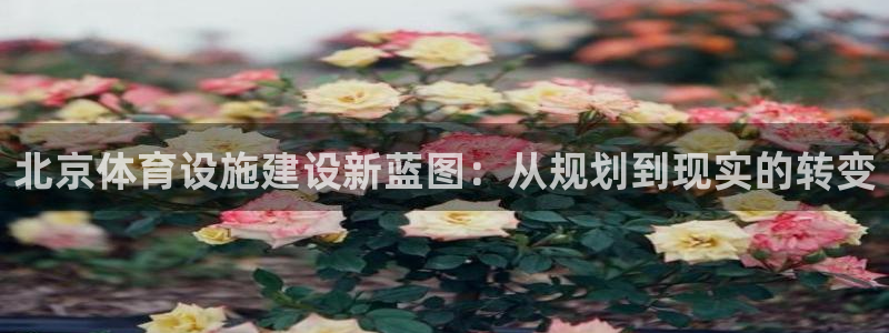 意昂4新能源：北京体育设施建设新蓝图：从规划到现实的