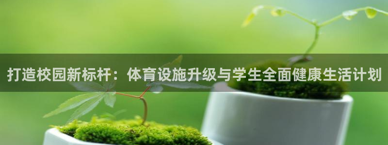 意昂体育4：打造校园新标杆：体育设施升级与学生全面健