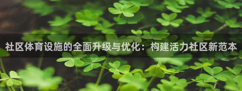 意昂体育4是干嘛的公司：社区体育设施的全面升级与优化