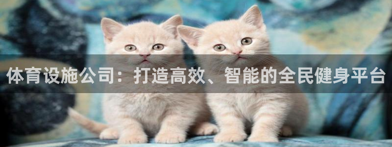 意昂体育4平台注册：体育设施公司：打造高效、智能的全