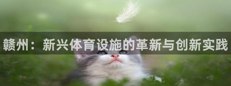 意昂体育4是干嘛的公司：赣州：新兴体育设施的革新与创