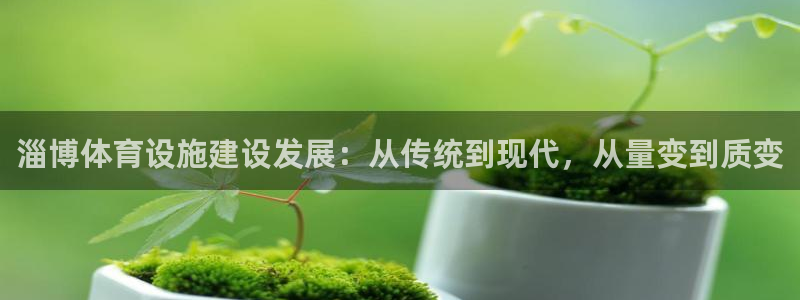 海南意昂体育4：淄博体育设施建设发展：从传统到现代，