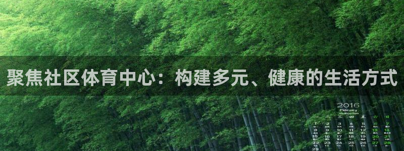 意昂4新能源：聚焦社区体育中心：构建多元、健康的生活