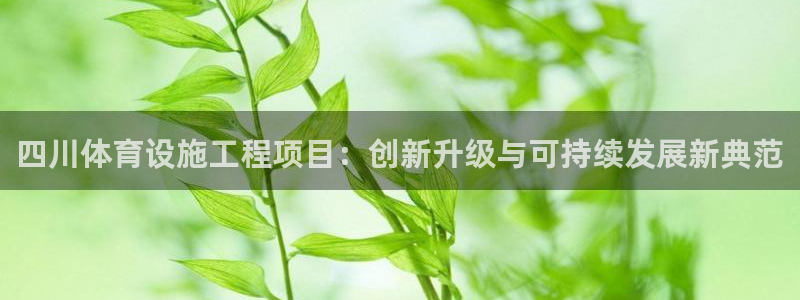 意昂体育4是干嘛的公司：四川体育设施工程项目：创新升