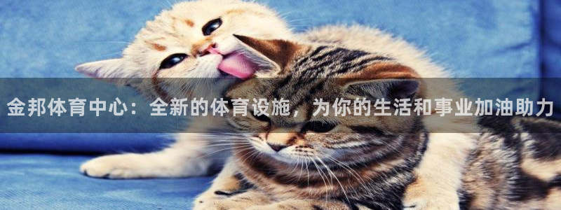 海南意昂体育4：金邦体育中心：全新的体育设施，为你的