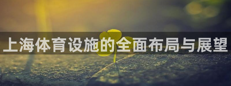 意昂4新能源：上海体育设施的全面布局与展望