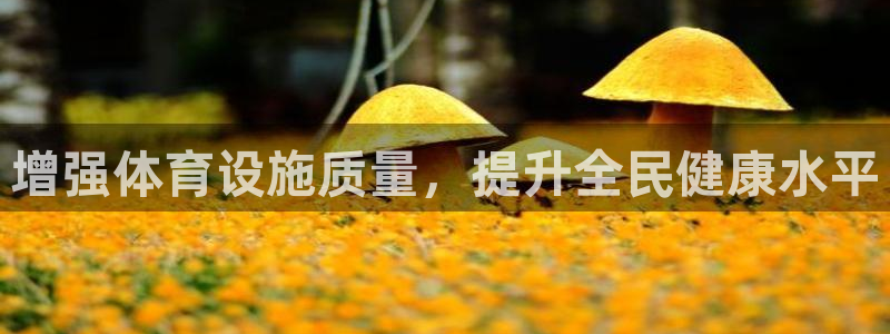 意昂体育4平台注册要钱吗安全吗：增强体育设施质量，提
