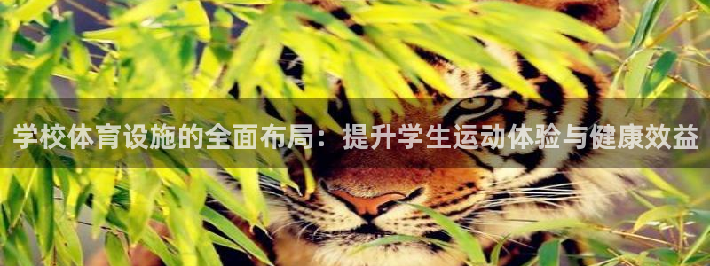 意昂体育4平台注册流程视频：学校体育设施的全面布局：