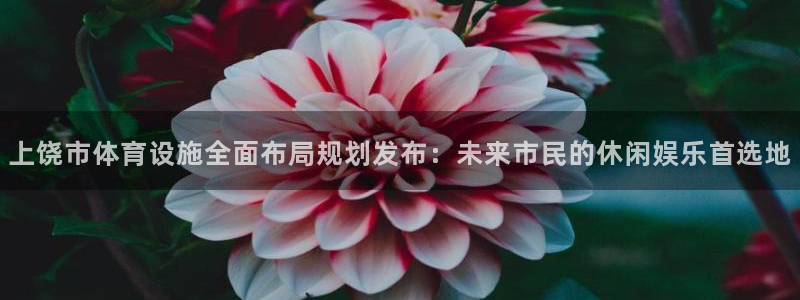 意昂体育4招商电话号码：上饶市体育设施全面布局规划发
