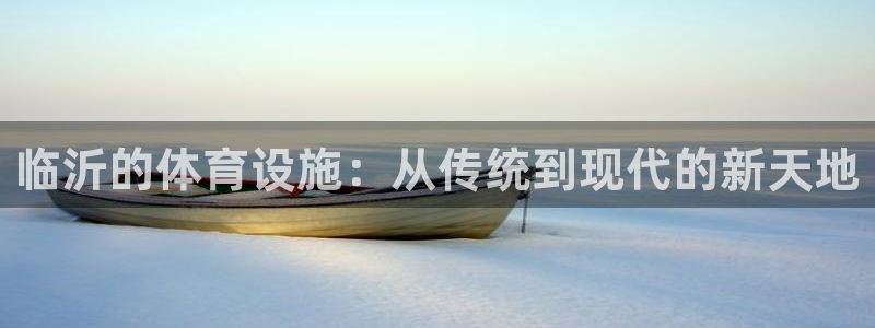 意昂4娱乐代理怎么样：临沂的体育设施：从传统到现代的