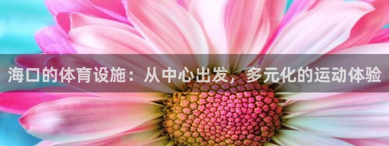意昂体育4平台假的吗是真的吗吗：海口的体育设施：从中
