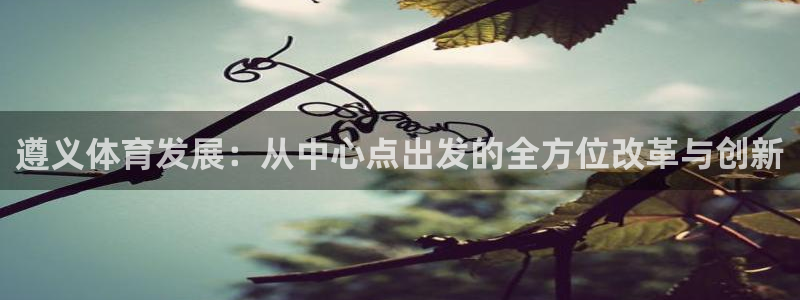 意昂4娱乐首页网站大全：遵义体育发展：从中心点出发的