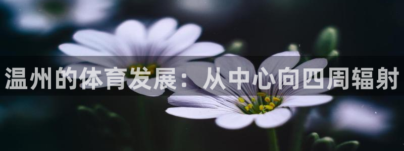 意昂体育4招商电话：温州的体育发展：从中心向四周辐射