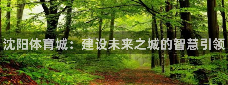 海南意昂体育4发展怎么样：沈阳体育城：建设未来之城的