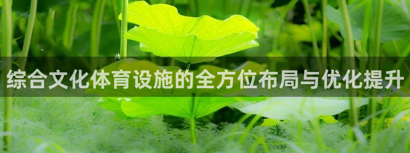 意昂平台体育：综合文化体育设施的全方位布局与优化提升
