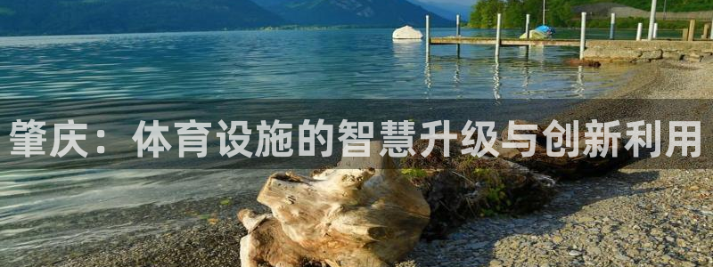意昂体育4招商电话是多少啊：肇庆：体育设施的智慧升级