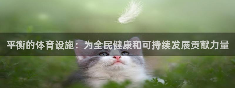 意昂4集团：平衡的体育设施：为全民健康和可持续发展贡