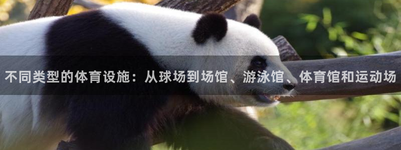 意昂4新能源：不同类型的体育设施：从球场到场馆、游泳