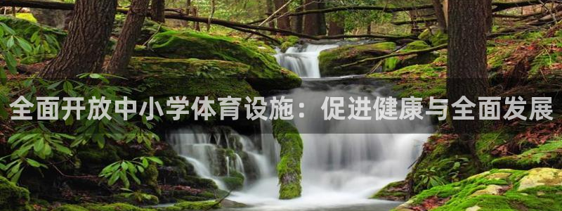 意昂4集团logo：全面开放中小学体育设施：促进健康