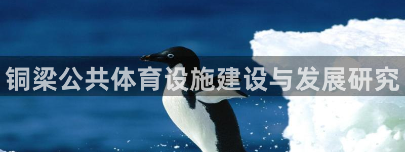 意昂体育4平台注册流程视频：铜梁公共体育设施建设与发