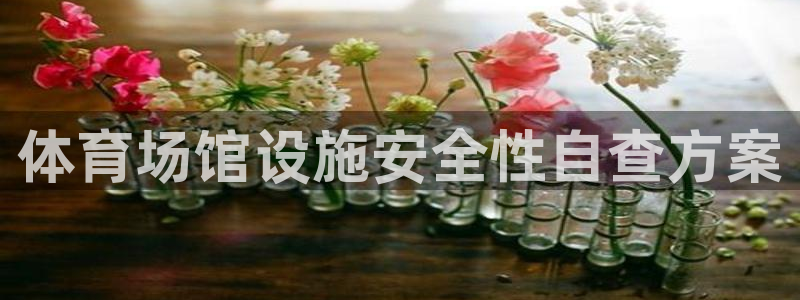 意昂体育4平台APP：体育场馆设施安全性自查方案