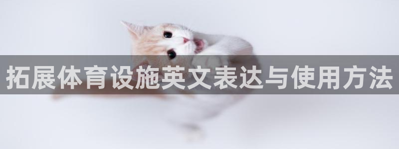 意昂4科技：拓展体育设施英文表达与使用方法