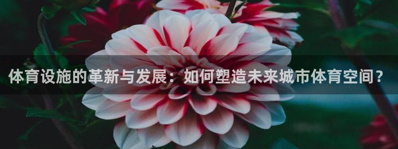 意昂体育4招商电话号码：体育设施的革新与发展：如何塑