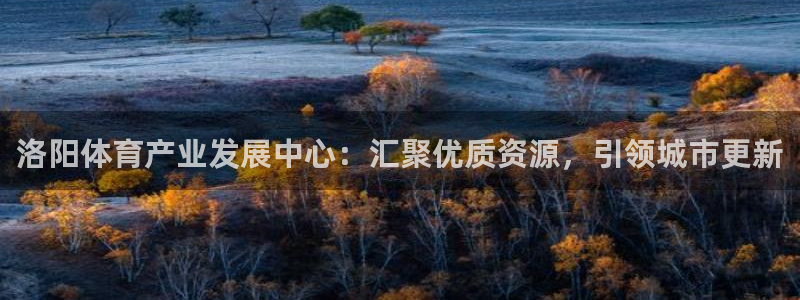 意昂体育4平台注册流程视频：洛阳体育产业发展中心：汇