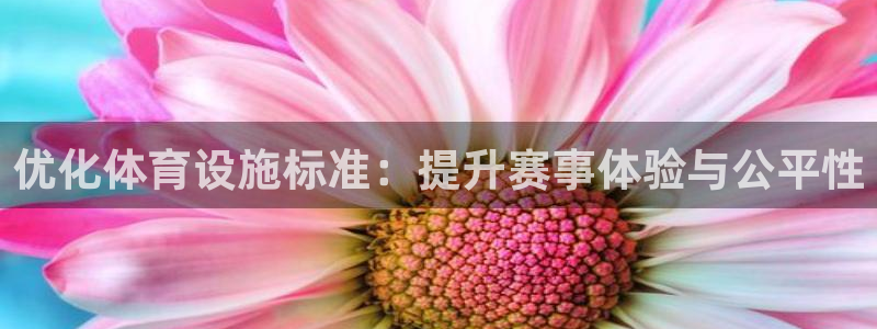 意昂4神州：优化体育设施标准：提升赛事体验与公平性