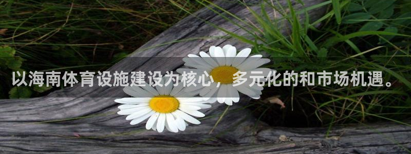 海南意昂体育4发展怎么样：以海南体育设施建设为核心，