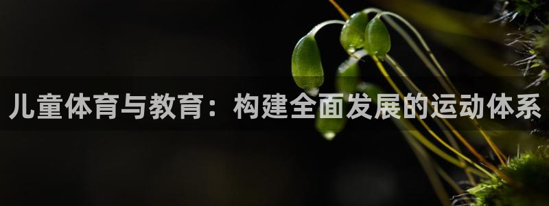 意昂4集团简介：儿童体育与教育：构建全面发展的运动体系
