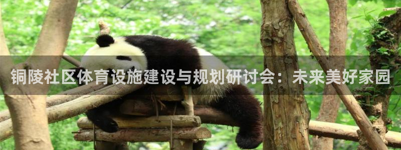意昂体育4招商电话地址查询：铜陵社区体育设施建设与规划研讨会