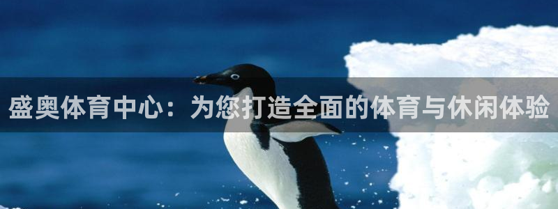 意昂体育4娱乐：盛奥体育中心：为您打造全面的体育与休