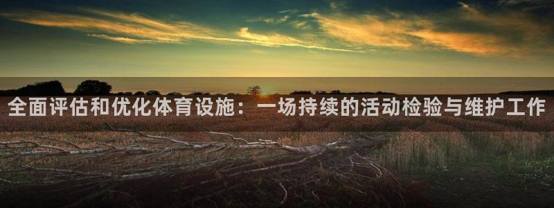 意昂4新能源：全面评估和优化体育设施：一场持续的活动