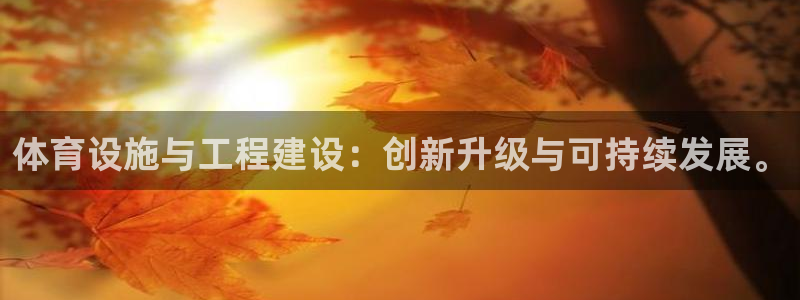 德国意昂4集团：体育设施与工程建设：创新升级与可持续
