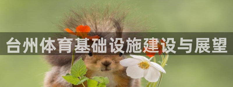 意昂体育4平台注册流程图：台州体育基础设施建设与展望
