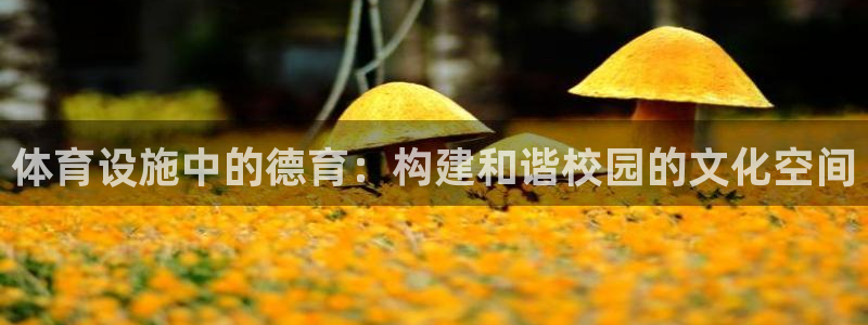 意昂体育4平台注册要钱吗安全吗：体育设施中的德育：构