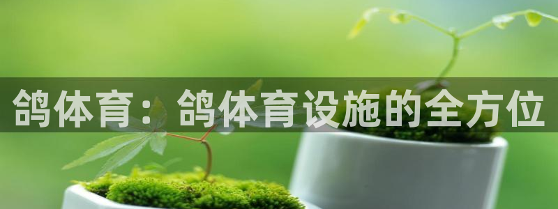 意昂4娱乐首页官网下载：鸽体育：鸽体育设施的全方位