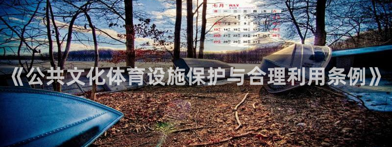 意昂4娱乐首页网站大全：《公共文化体育设施保护与合理利用条例