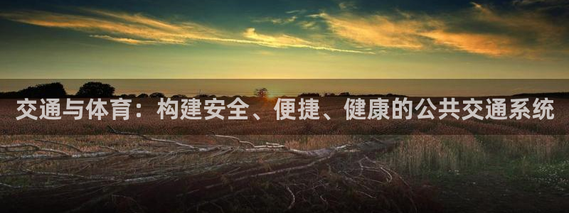 意昂体育4招商电话地址：交通与体育：构建安全、便捷、健康的公