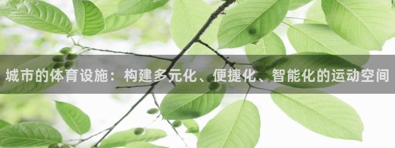意昂体育4招商电话是多少啊：城市的体育设施：构建多元化、便捷