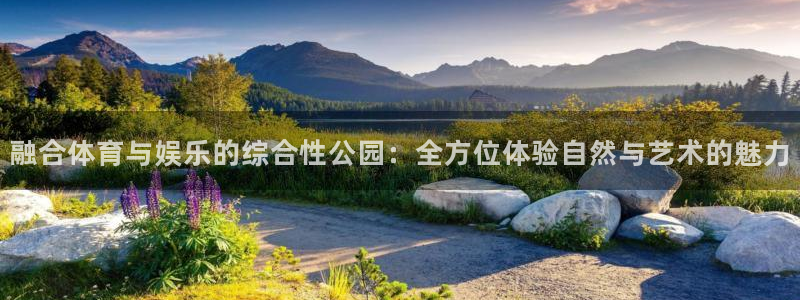 意昂4官方：融合体育与娱乐的综合性公园：全方位体验自然与艺术 