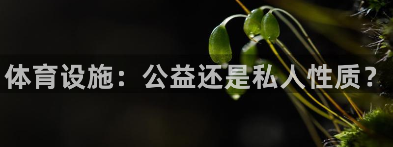 意昂体育4招商电话是多少啊：体育设施：公益还是私人性
