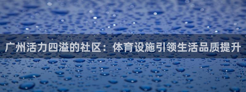 意昂体育4招商电话地址：广州活力四溢的社区：体育设施