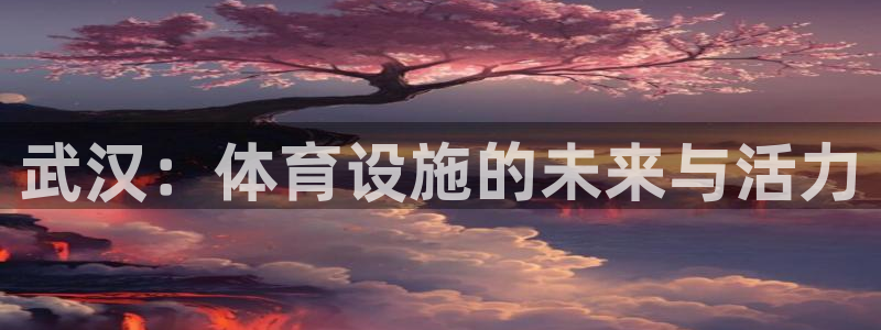 意昂4娱乐首页网站大全：武汉：体育设施的未来与活力