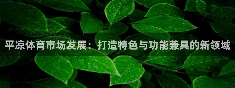 意昂4集团官网网址：平凉体育市场发展：打造特色与功能