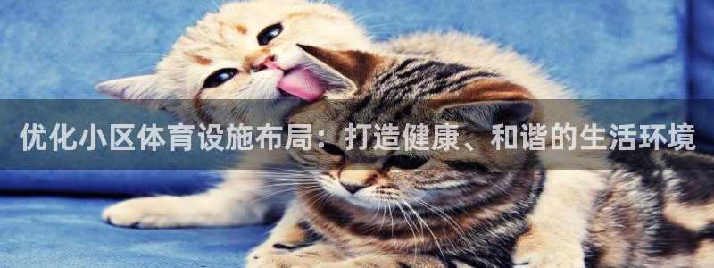 意昂体育4招商电话号码查询：优化小区体育设施布局：打