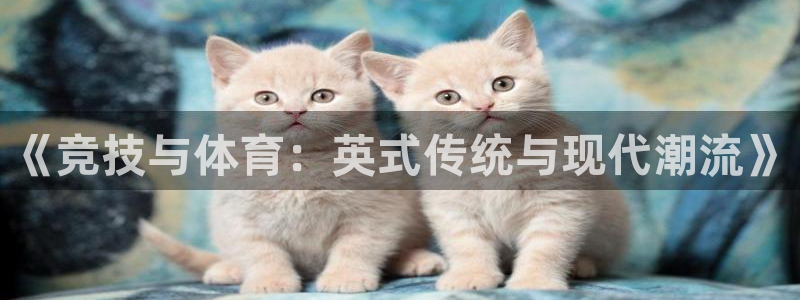 意昂体育4平台注册要钱吗安全吗：《竞技与体育：英式传