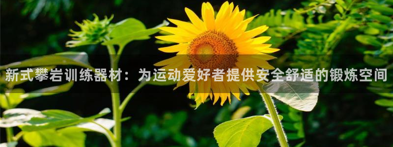 意昂体育4平台注册要钱吗：新式攀岩训练器材：为运动爱